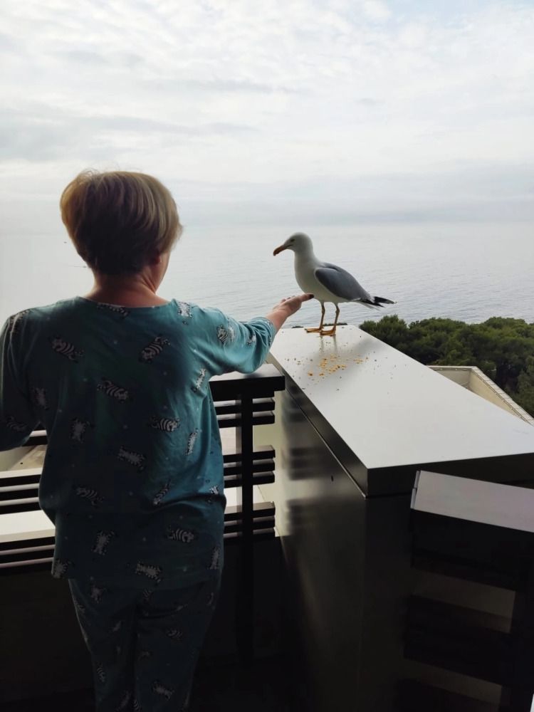 Photograph by Зульфия Набиуллина