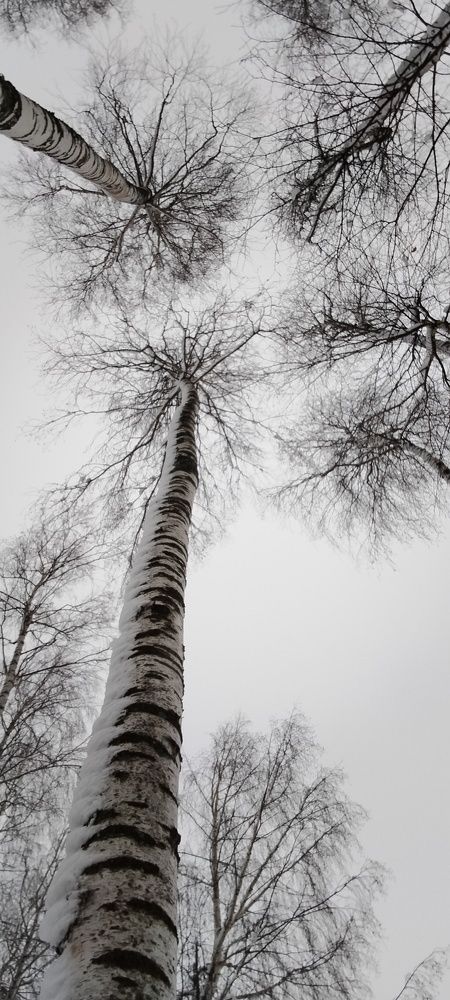 Photograph by Зульфия Набиуллина