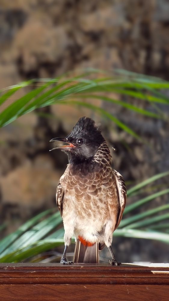 Photograph by Maria Volnova