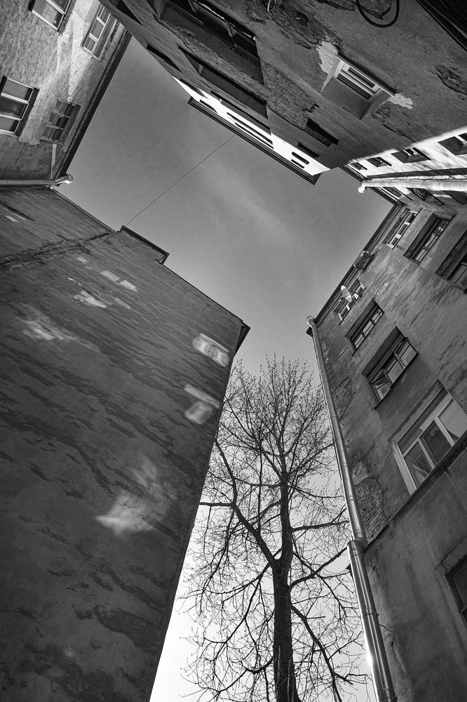 Photograph by Анна Васильева