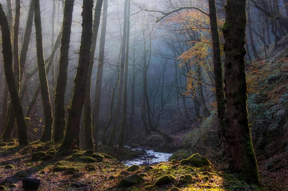 Фотография автора Maghsoud Moradi