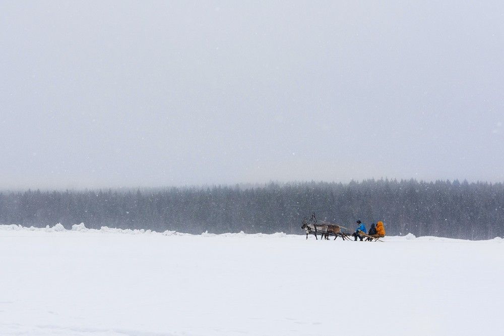 Photograph by Артем Клунко