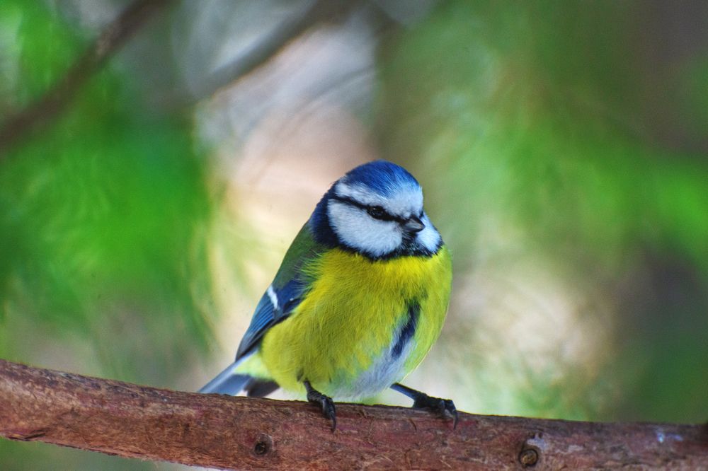 Photograph by Артем Клунко