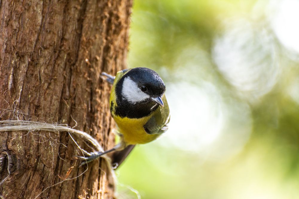 Photograph by Артем Клунко