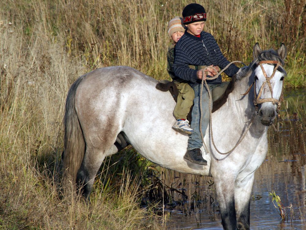 Photograph by Дмитрий Лобанов