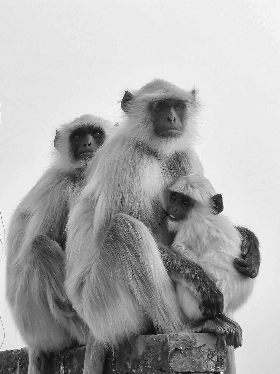Photo #11759114