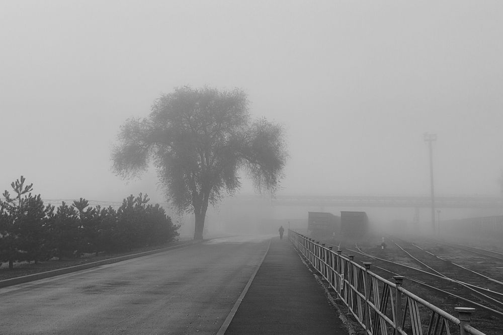 Photograph by Александр Коломоец