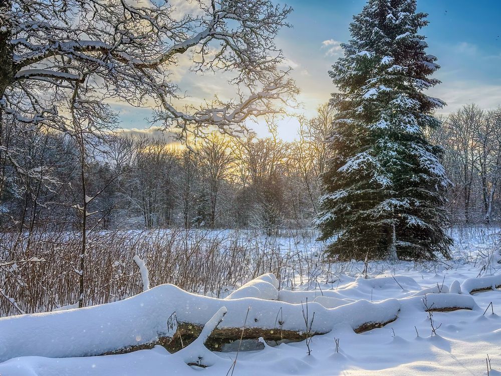 Photograph by Andrei Orlov