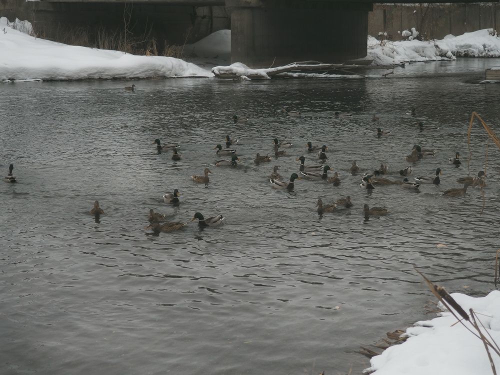 Photograph by Юлия Жереченко