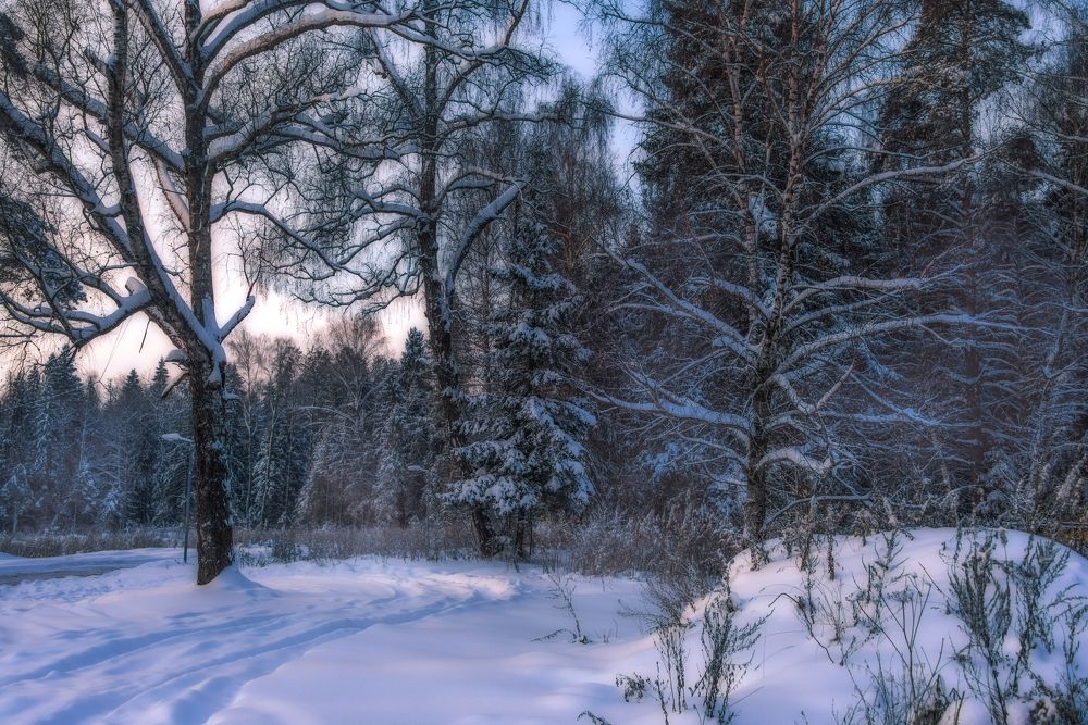 Photograph by Владимир Безбородов