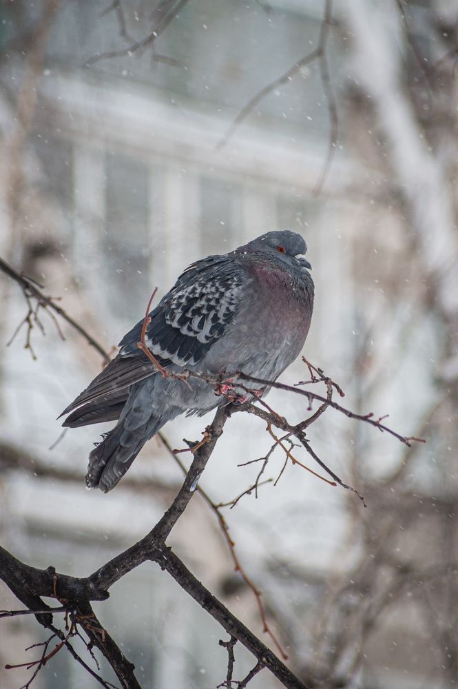 Photograph by Николай Владимирович