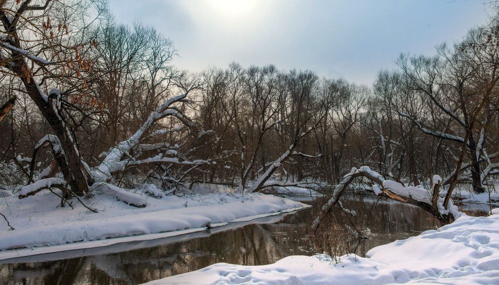 Photograph by Владимир Безбородов