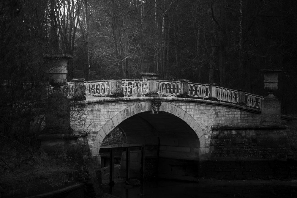 Фотография автора Денис Шишкин