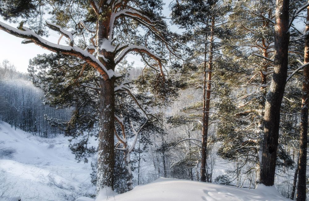 Photograph by Владимир Безбородов
