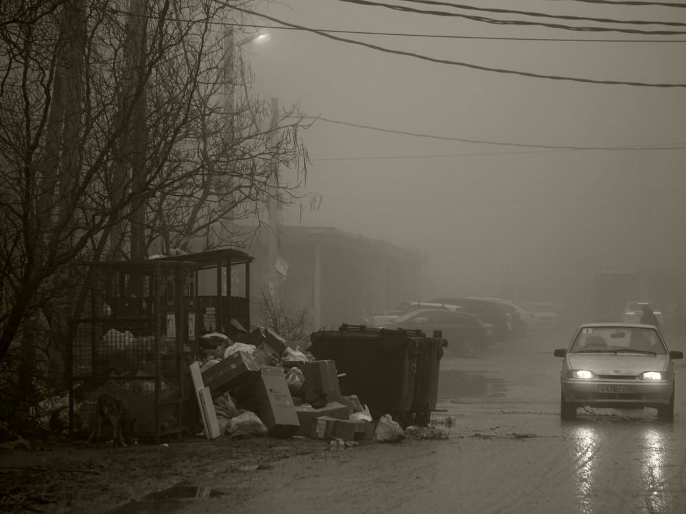 Photograph by Дмитрий Лобанов