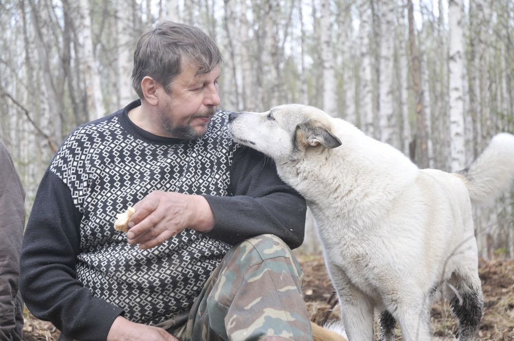 Photograph by Фарит Зиатдинов