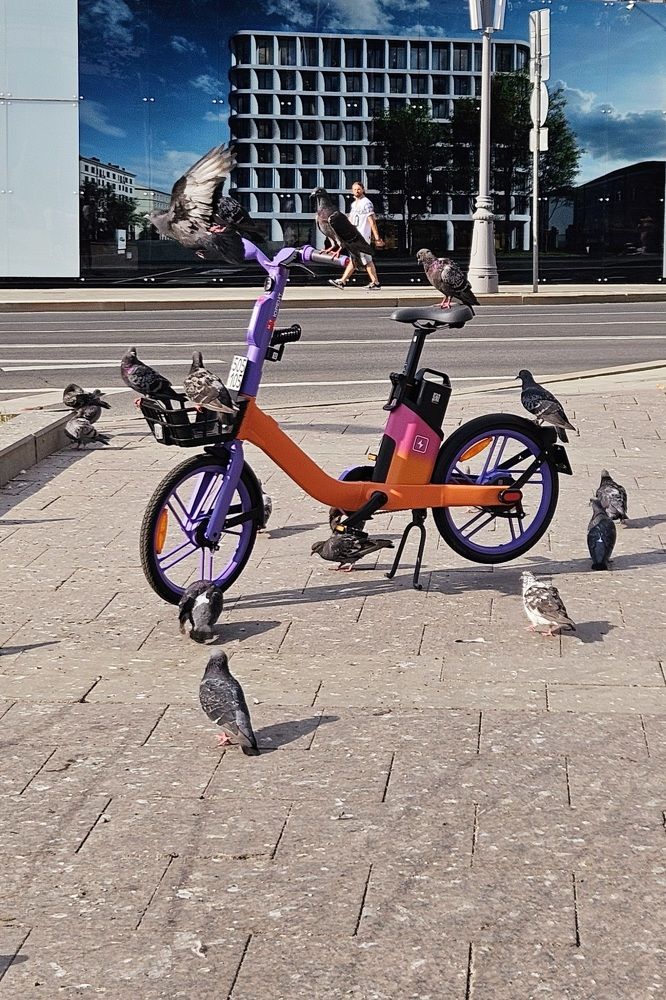 Photograph by Анастасия Свиридова