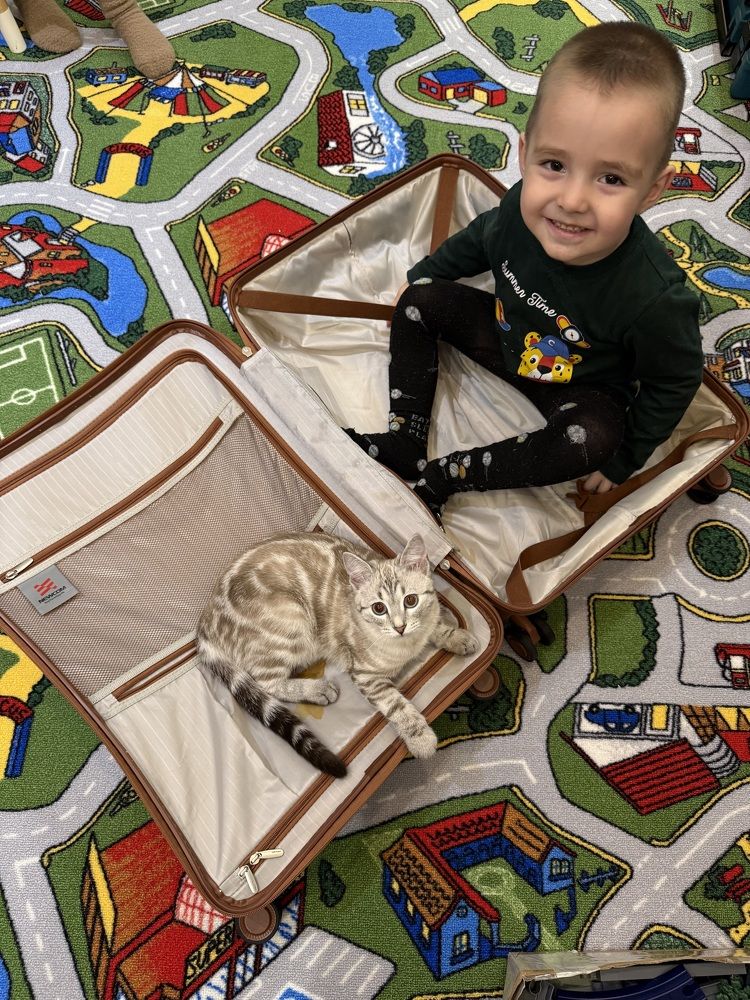 Photograph by Анна Закирова