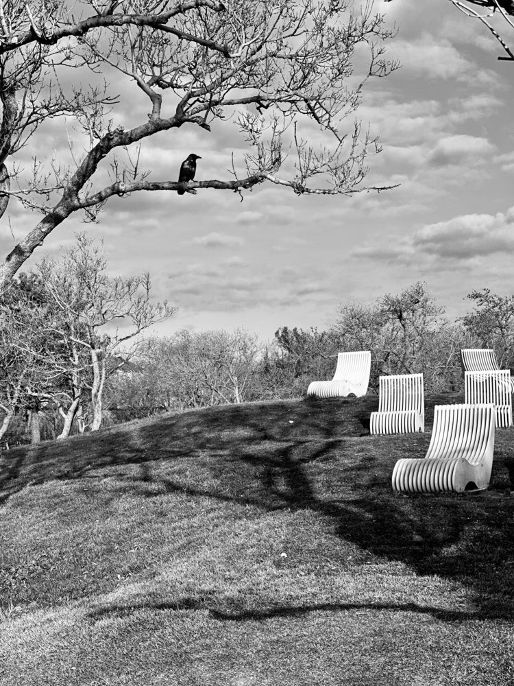 Photograph by Ksenia Sinitskaja