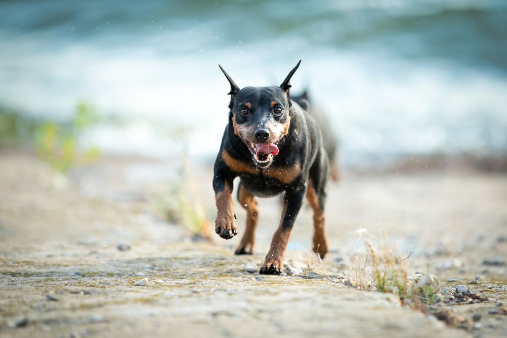 Photograph by Лилия Наконечная