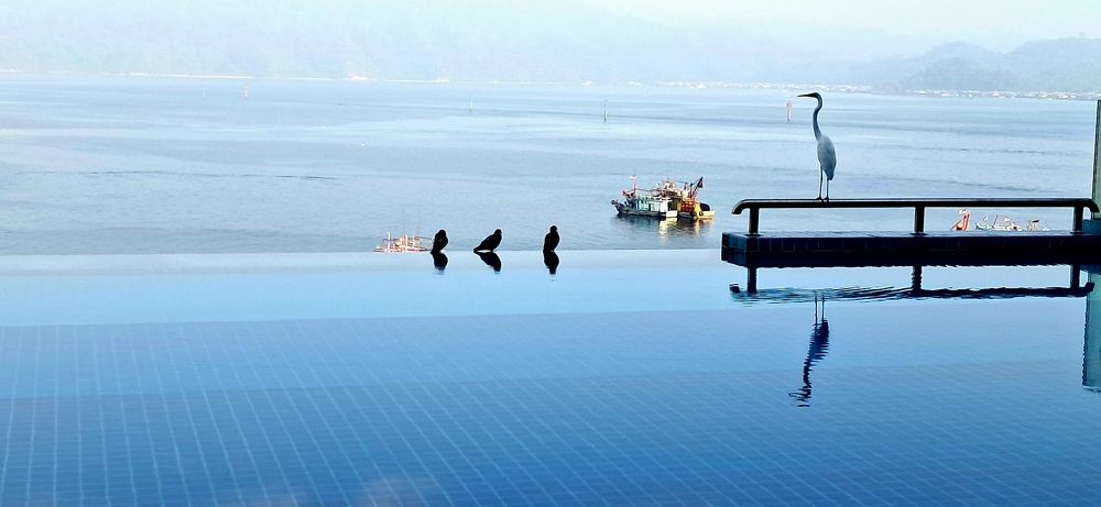 Photograph by FELOMINA ENDEREZ