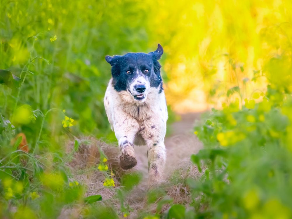 Photograph by Mansoob Haider