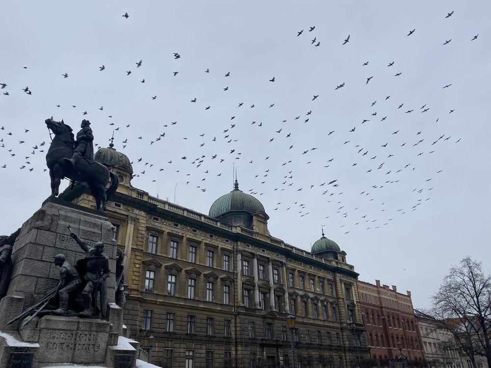 A flock of birds in the sky above the monument