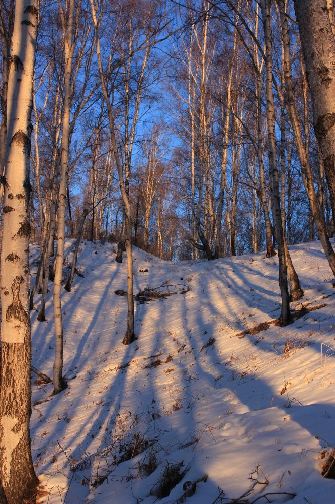 Фотография автора Анастасия Ощепкова