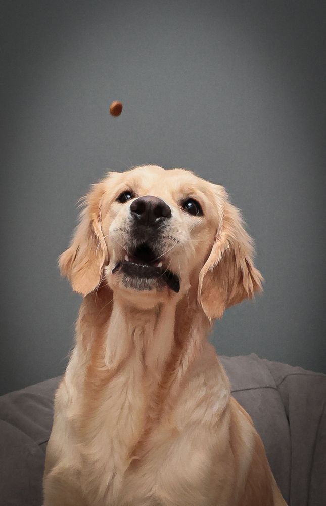 Photograph by Мария Кузьмина