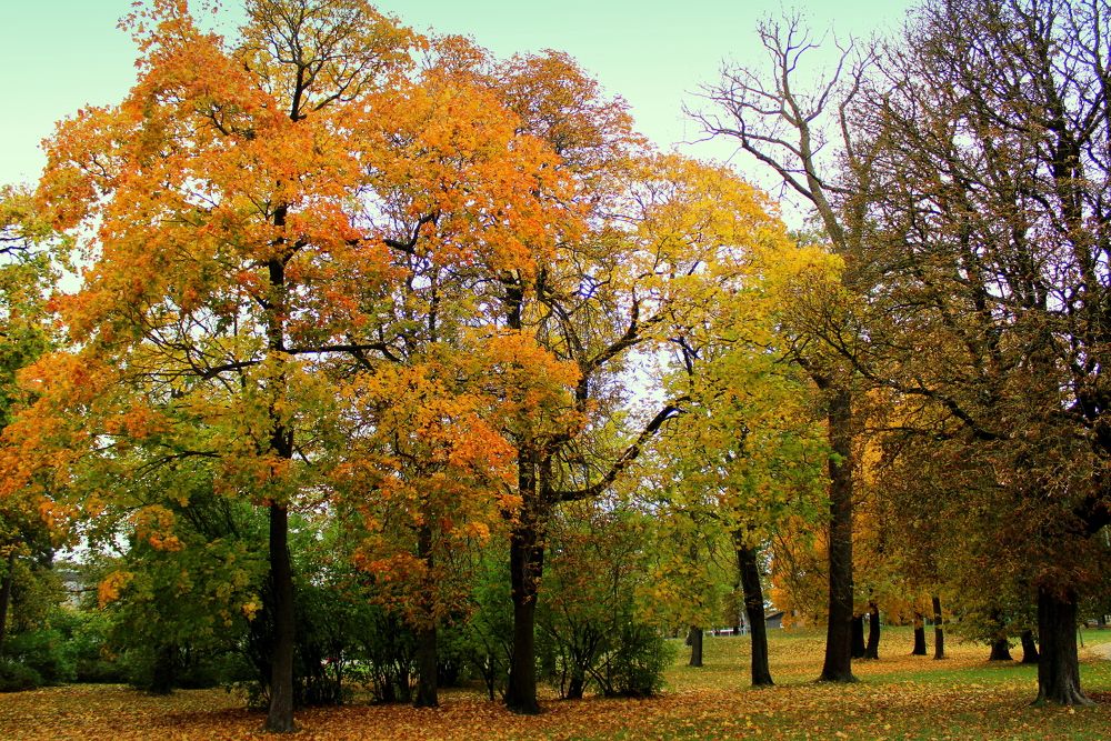 Photograph by 