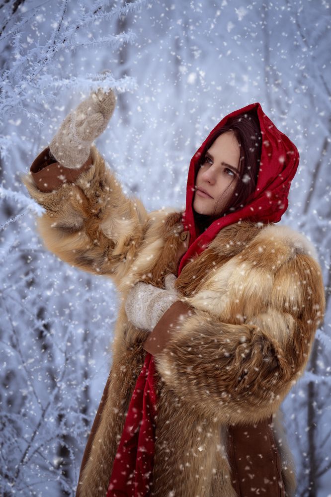 Photograph by Karpenko Denis