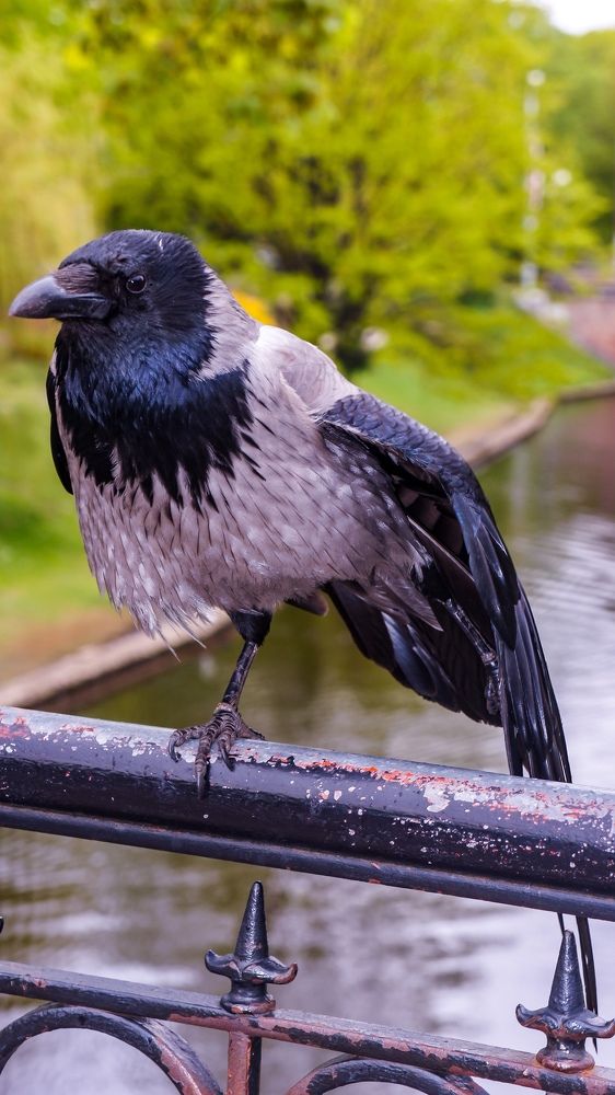 Photograph by Igors Rostikovs