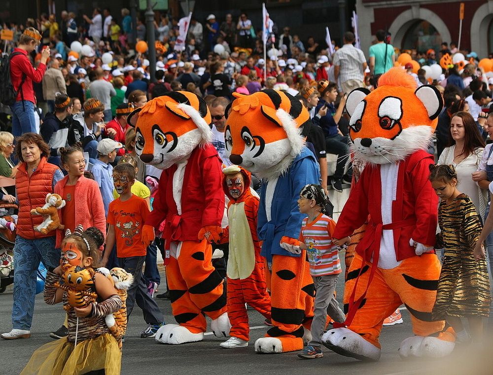 Фотография автора АЛЕКСАНДР ЦЫГЕЛЬНЮК