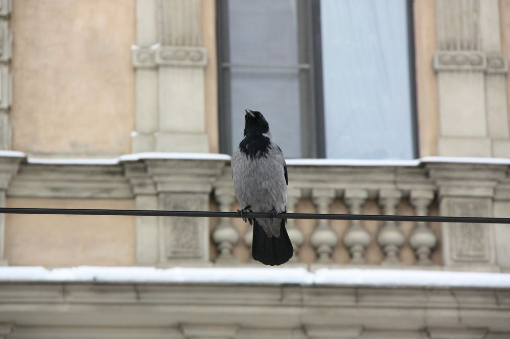 Photograph by Igors Rostikovs