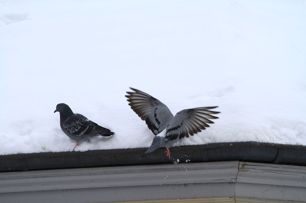 Photograph by Igors Rostikovs