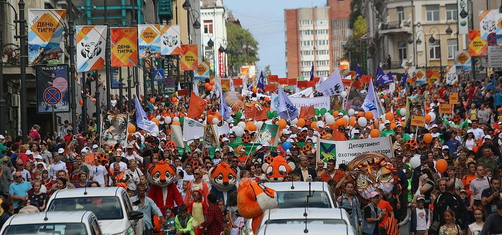 Фотография автора АЛЕКСАНДР ЦЫГЕЛЬНЮК