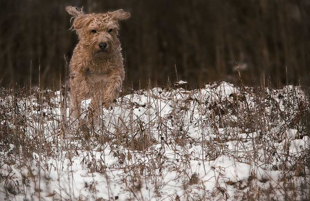 Photograph by Мария Кузьмина