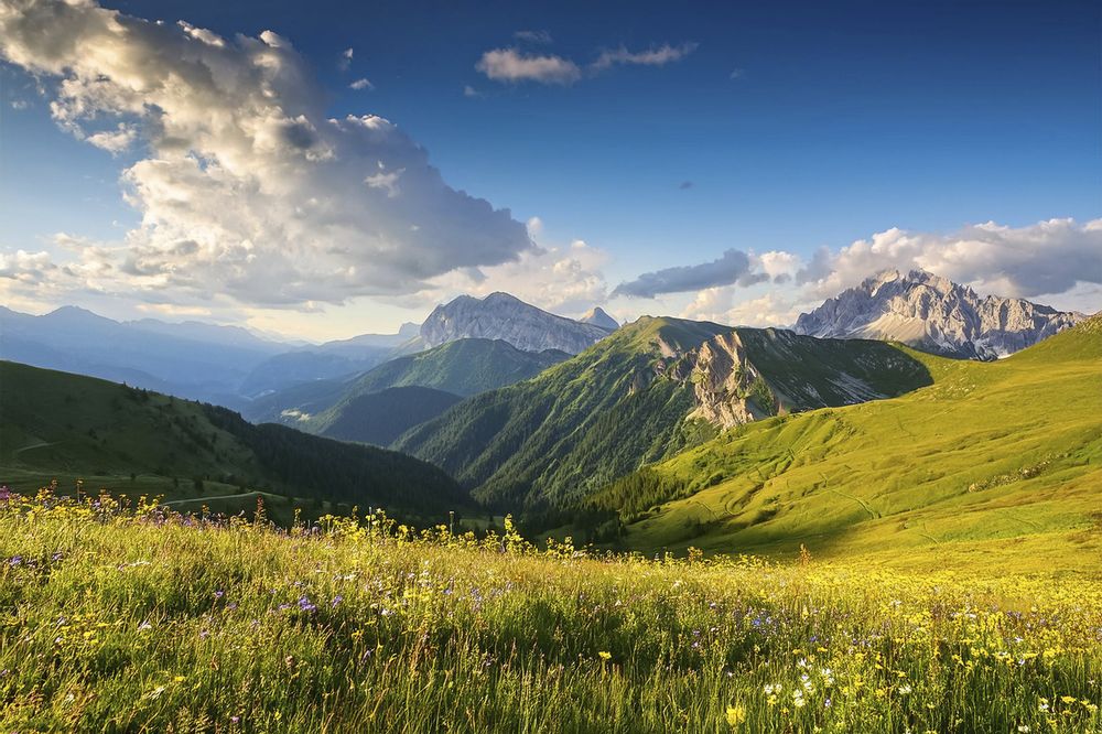 Photograph by Скирпичников Анатолий