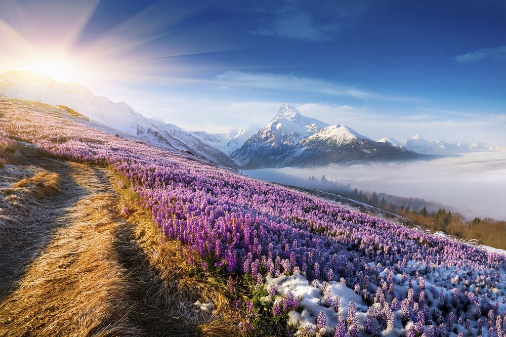 Photograph by Скирпичников Анатолий