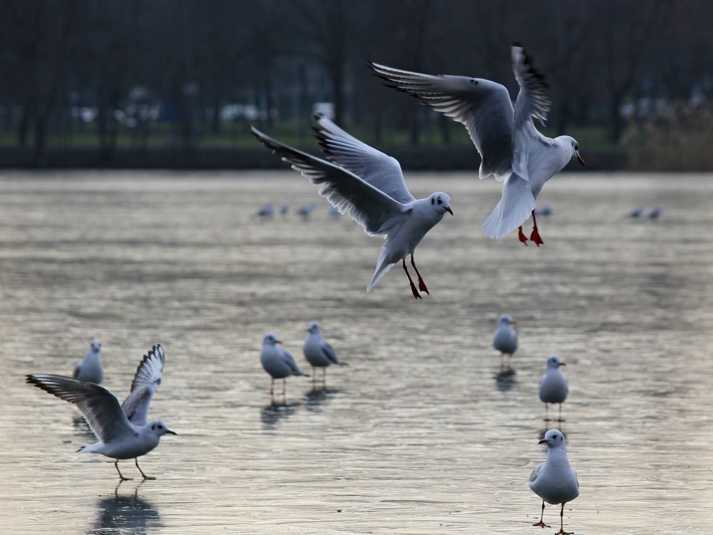 Photograph by Дмитрий Лобанов