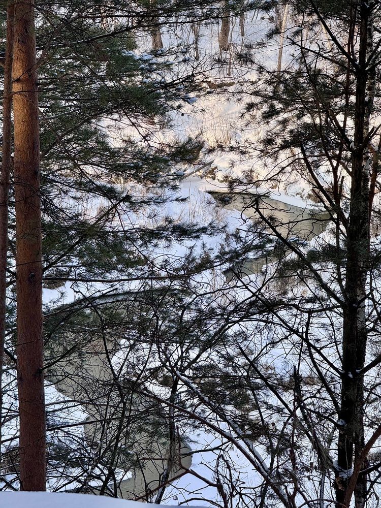 Photograph by Римма Большакова