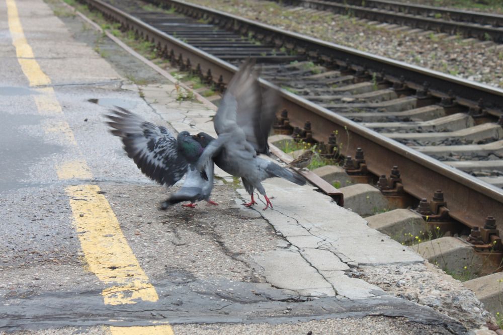 Photograph by Igors Rostikovs