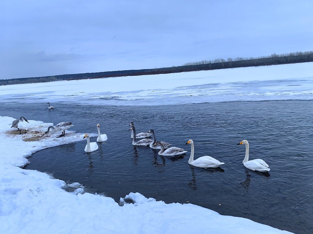 Photograph by Анастасия Ермакова