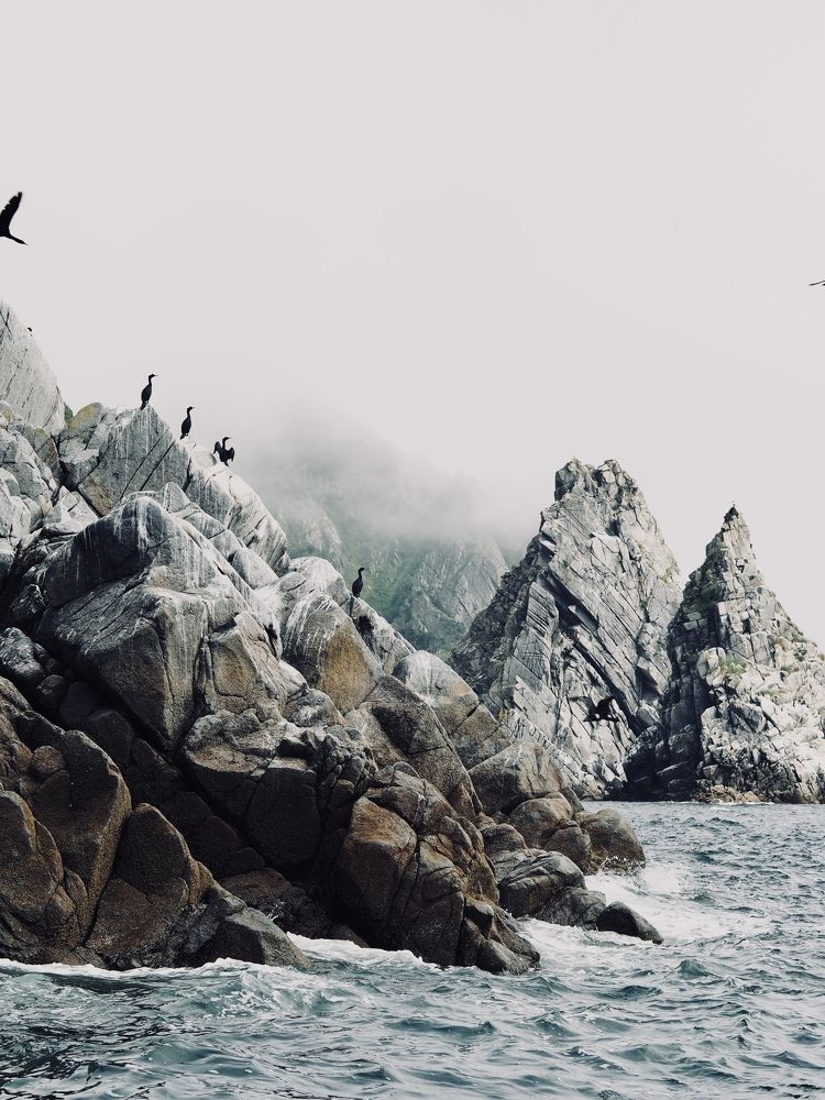 Photograph by Тина С