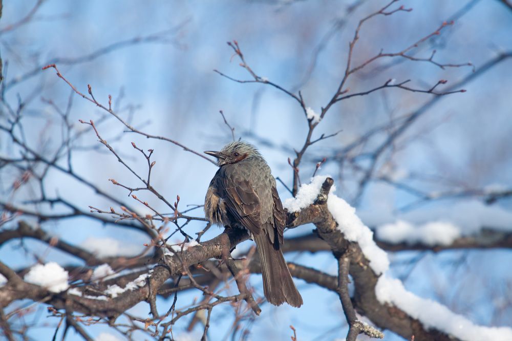 Photograph by ЕЛЕНА Рохо-Фернандес