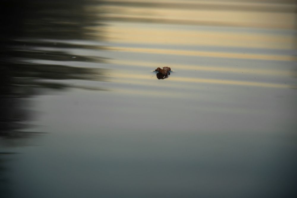 Фотография автора Геннадий Коробов