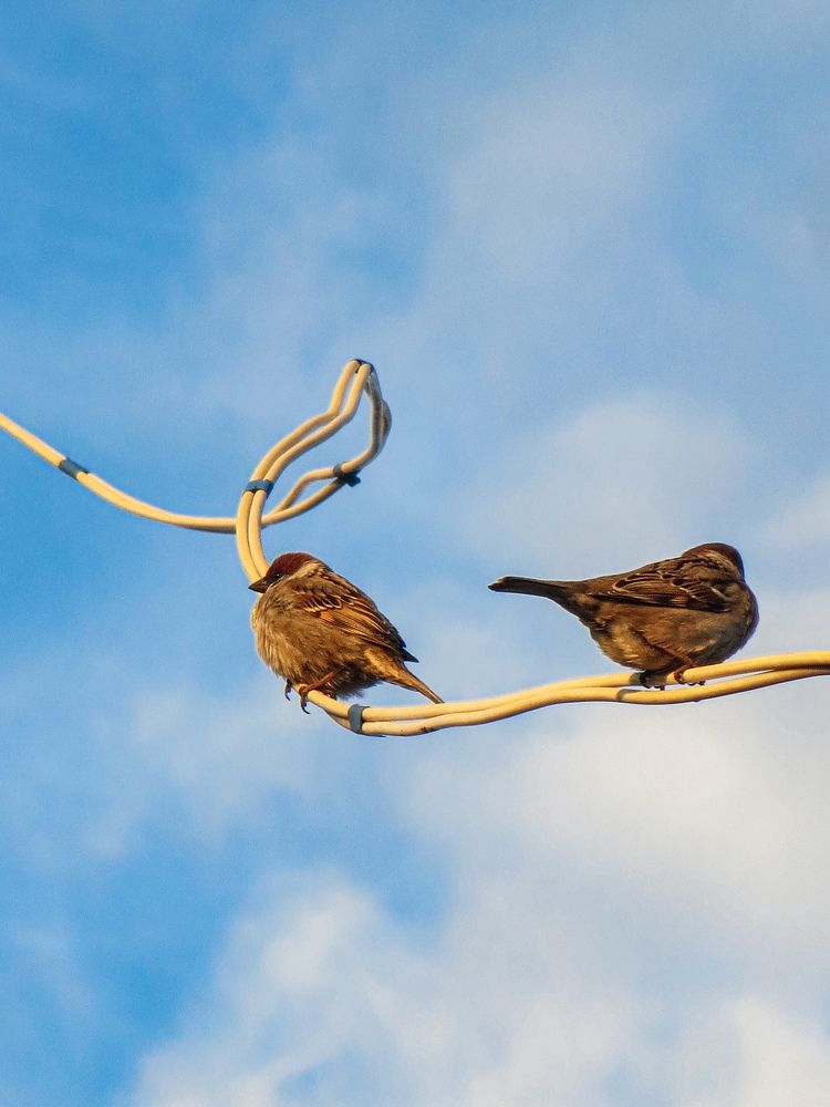 Photograph by Дарья Овсянникова