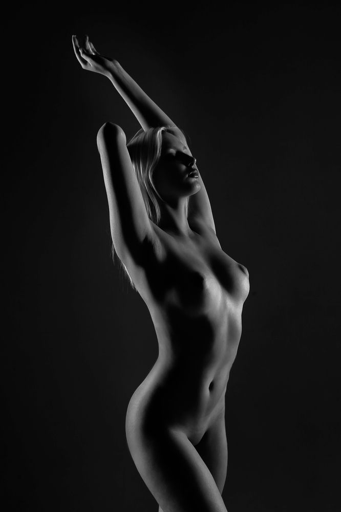 Фотография автора  Maxwellion