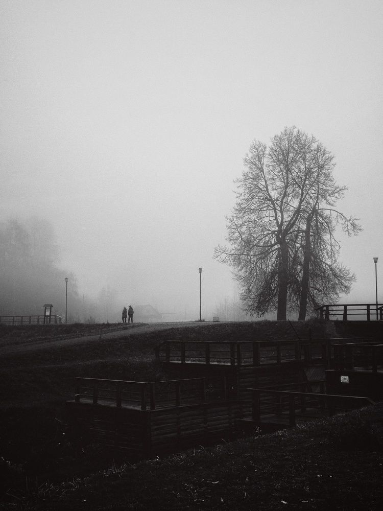 Photograph by Сергей Никифоров