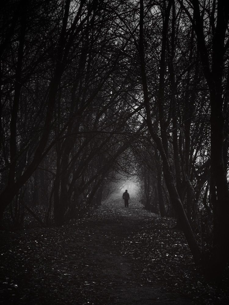 Photograph by Сергей Никифоров